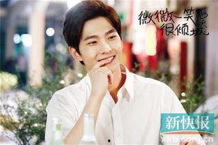 电视剧微微一笑很倾城在线观看,甜蜜校园爱情剧，网络与现实交织的浪漫传奇